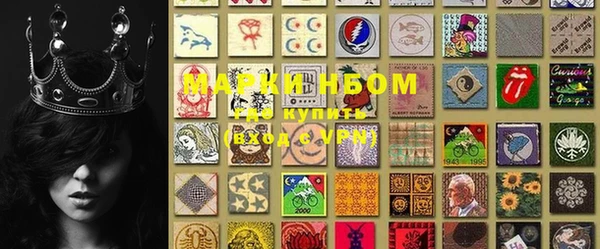 шишки Михайловск