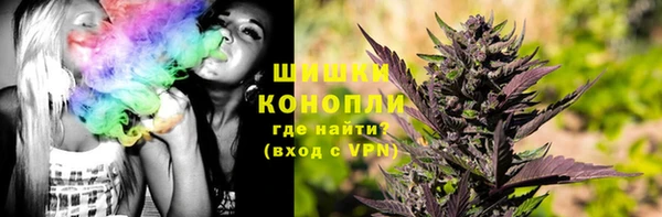 ПСИЛОЦИБИНОВЫЕ ГРИБЫ Анжеро-Судженск