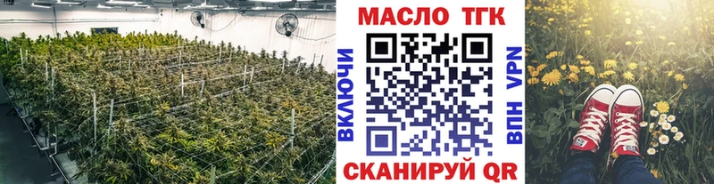 ТГК концентрат  Вытегра 